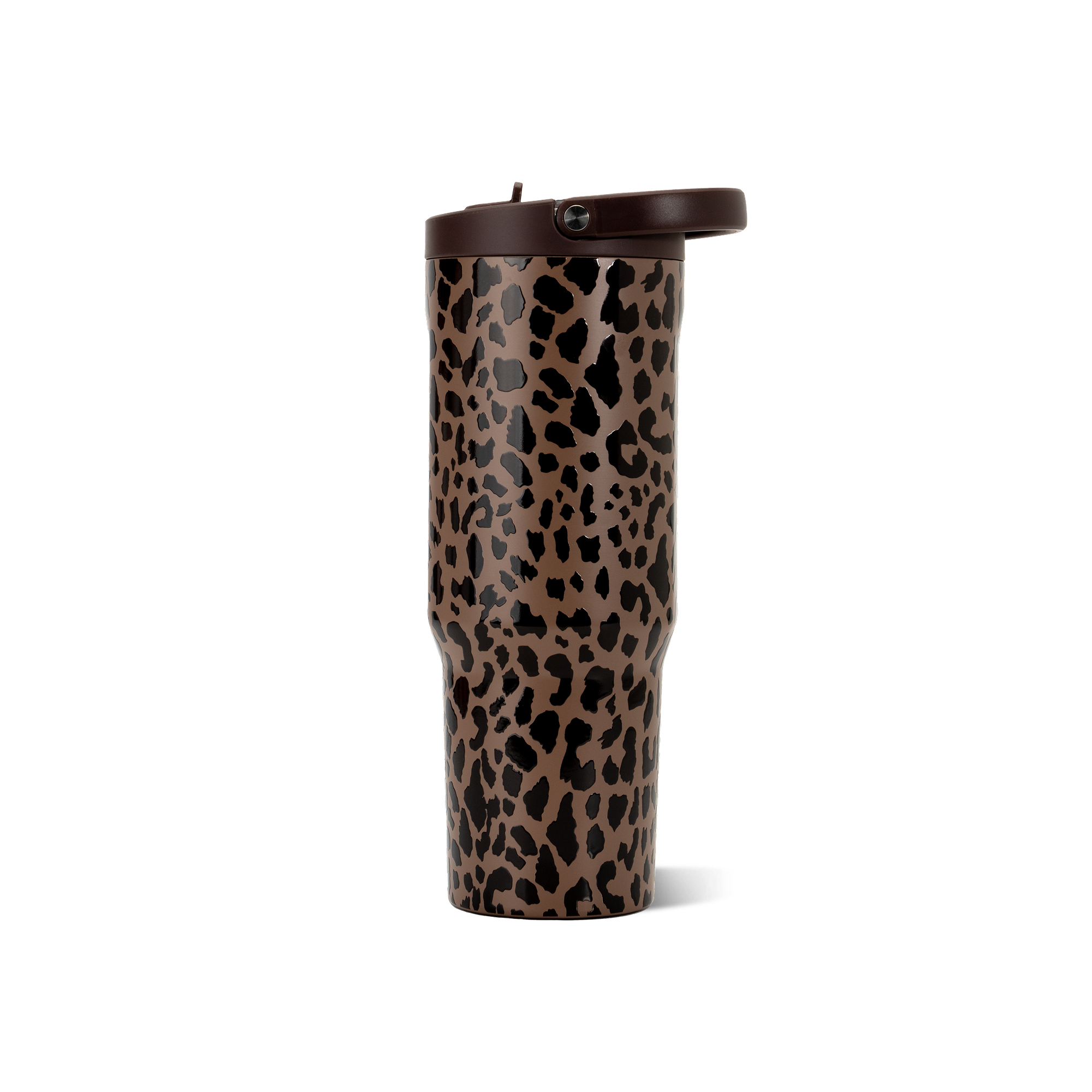 Brown Leopard - Ready for Travel