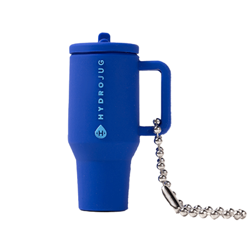Traveler Keychain - Everyday Ready