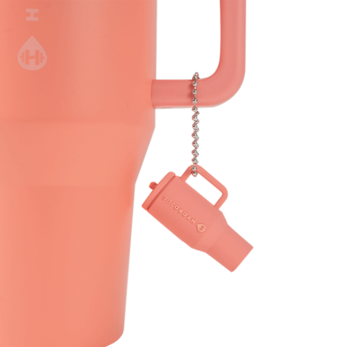 Traveler Keychain - Everyday Ready
