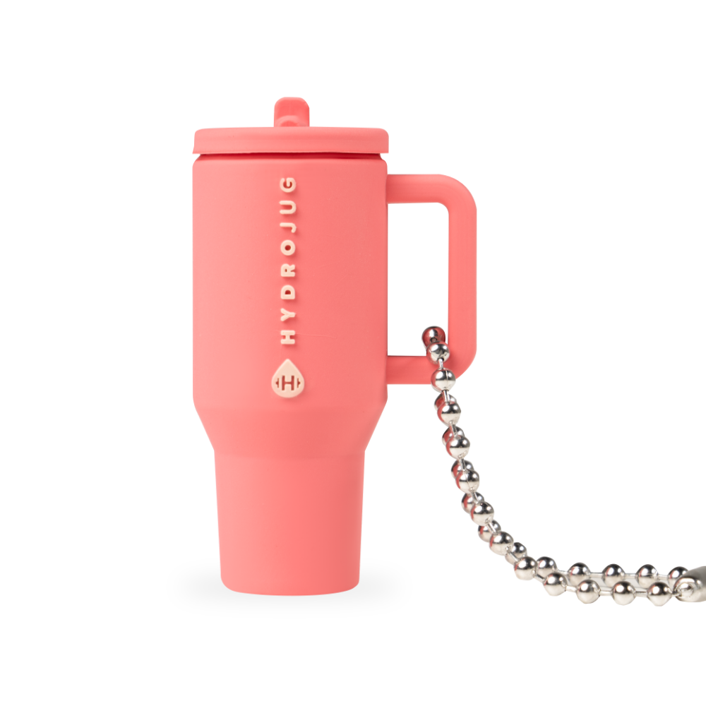 Traveler Keychain - Everyday Ready